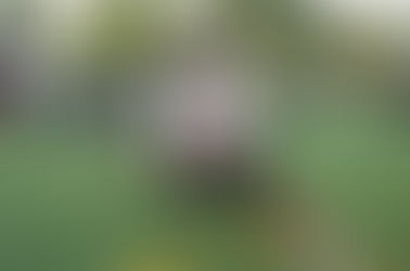 Heel Tough Blog: Tar Heels Lose Commitment From Top Prospect in 2027 Class