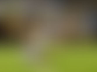 Heel Tough Blog: Heels Add Transfer Kicker