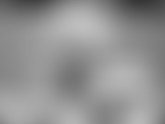 Heel Tough Blog: Young CB Withdraws Name from Portal