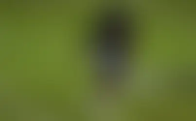 Heel Tough Blog: Who Should the Tar Heels Target at QB in the Portal?