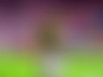 Heel Tough Blog: Veteran Defensive Coach Bob Diaco Joins the Tar Heel Staff