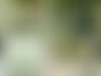 🌿 Sage Green: Color of the Month