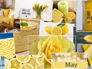 Color of the Month:  Yellow