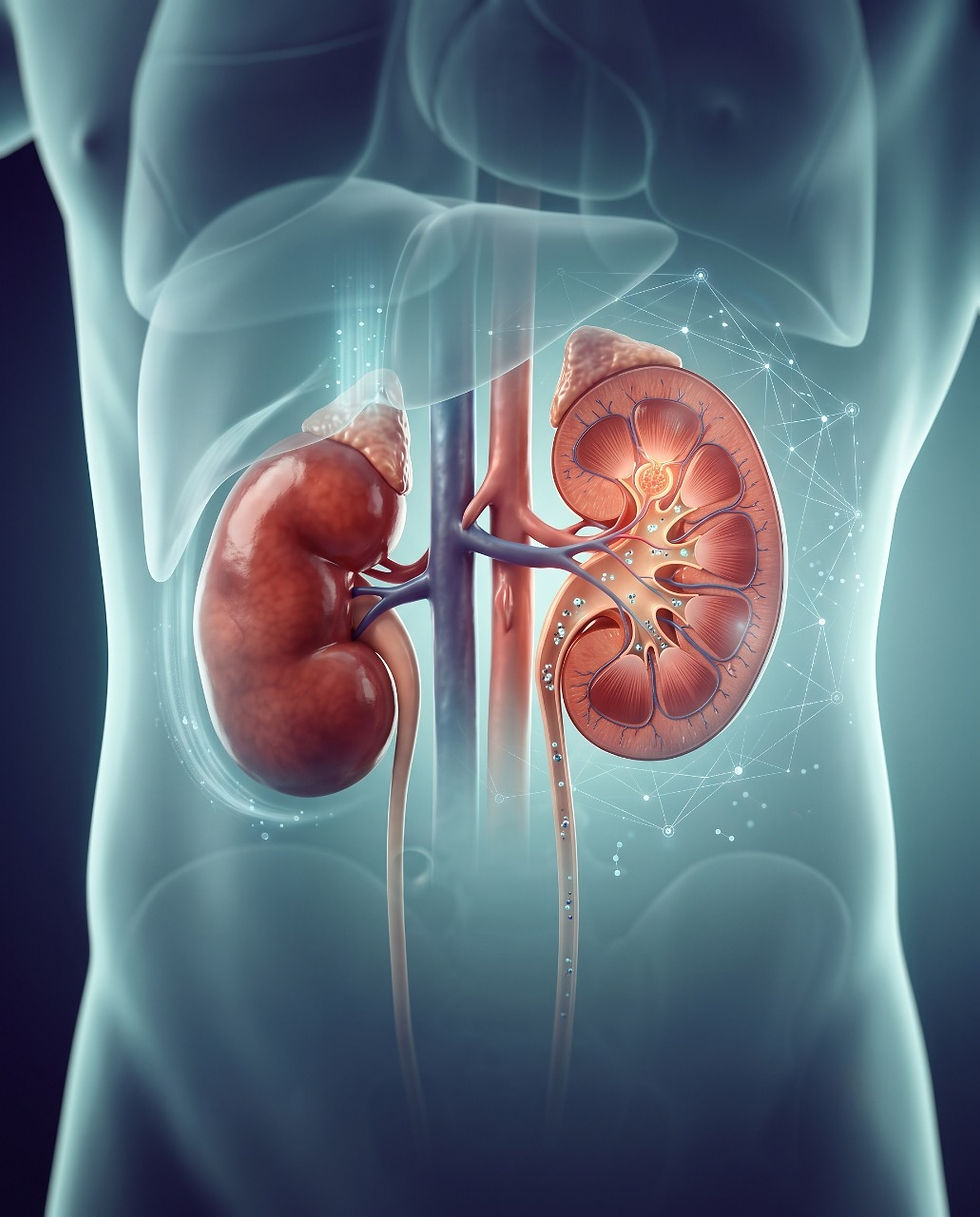 Advanced Nephrology