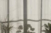 window.jpeg