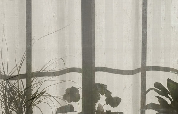 window.jpeg