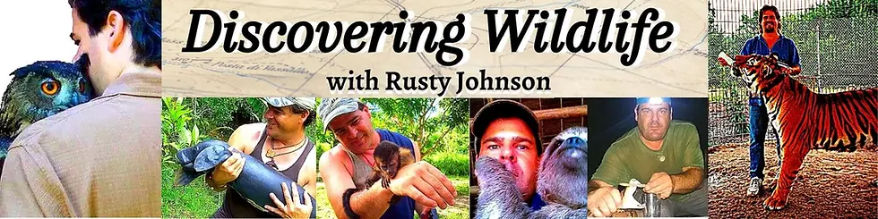 Join Rusty's Patreon Now!
