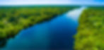 AmazonPetHolisticspreserve.jpg