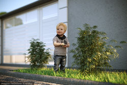 Projeto 3d - Para Venda do Imóvel