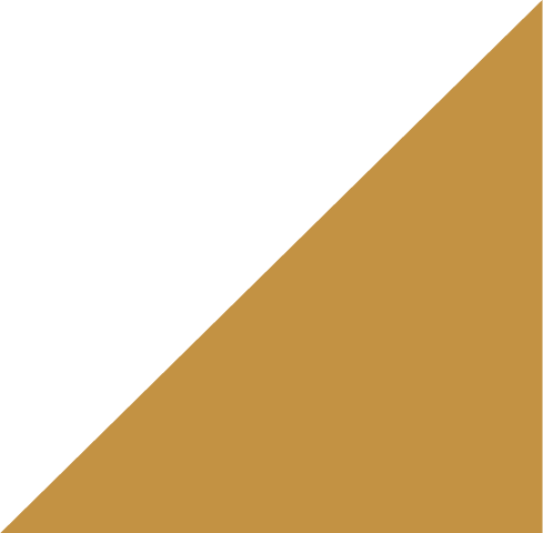 Asset 13.png