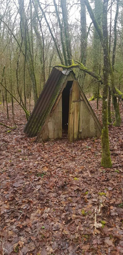 cabane perdue.jpeg