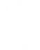 Ø