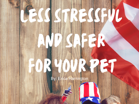 pets and kids 4th july safe health