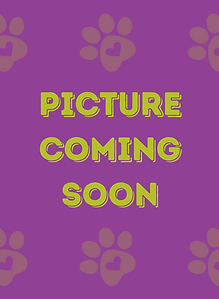 Picture Coming Soon.png