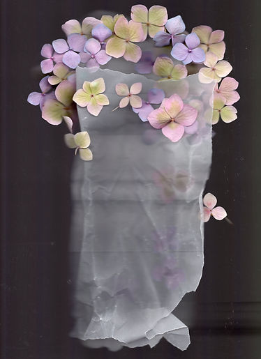 It could be a bouquet, Digital Print, Si