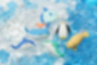MarineAnimal ER-961136_.JPG