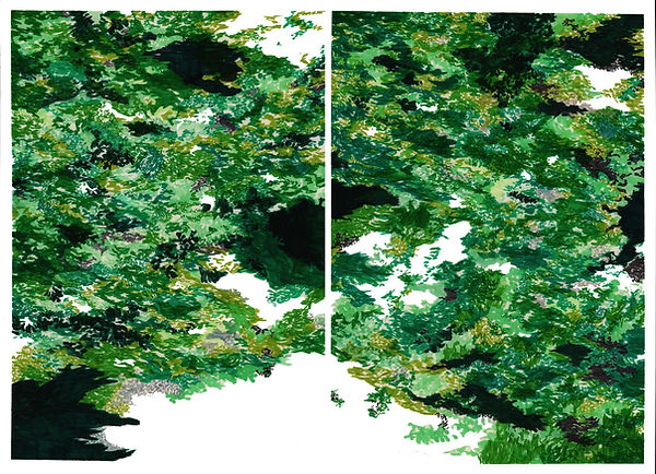 Eidolon_forest.jpg