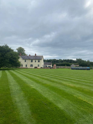 Garden maintenance