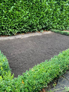 Preparing the flower bed