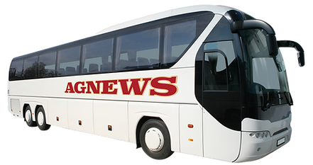 Large White Agnews Coach