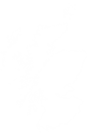 Map of Scotland