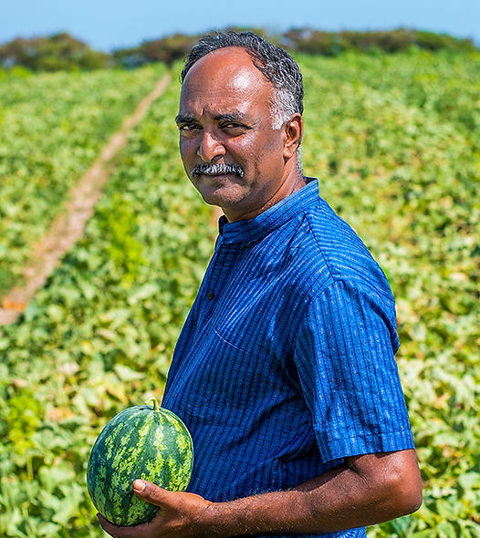 Alain KICHENASSAMY