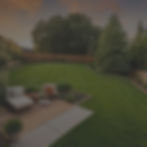 grassy backyard.jpg