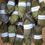 Miniature : Feuilles de corossol