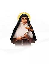 steuphrasia (2) (1).webp