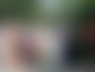 കാർമൽ സ്കൂൾ പാലക്കയത്തിൻ്റെ 47 -ാംവാർഷികാഘോഷവും ഹെഡ്മിസ്ട്രസ് സി. ക്ലെയറിൻ്റെ യാത്രയയപ്പ് സമ്മേളനവും