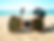 Thumbnail: Mr. Compass