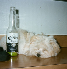 0014_13A.jpeg