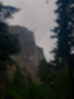 35MM Photography | Blodgett Canyone, MT