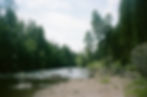 35MM Photography | Bigfork, MT