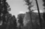35MM Photography | Blodgett Canyon, MT