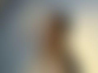 Controlando al enemigo interno