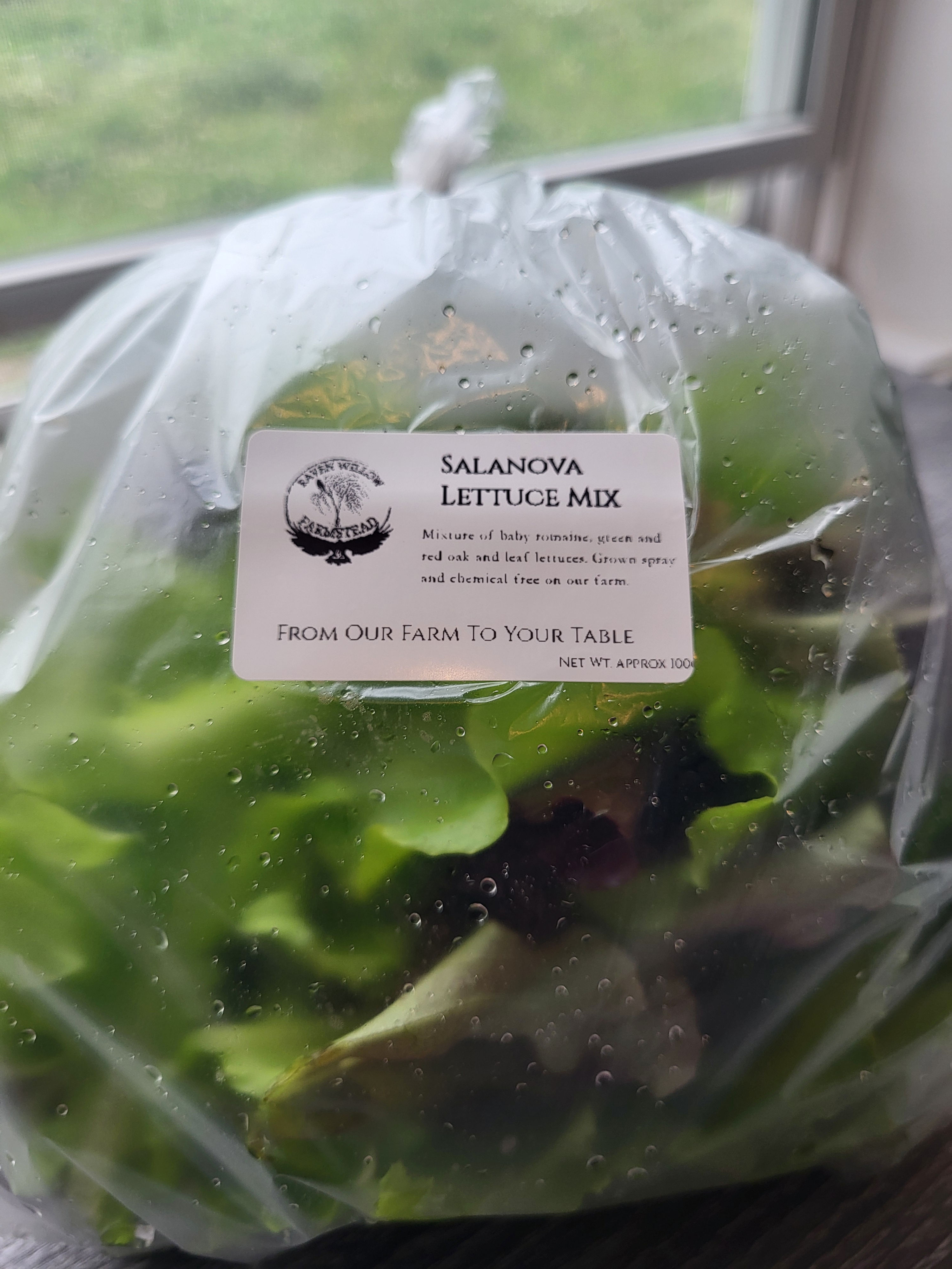 Salanova Lettuce Mix