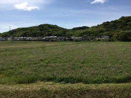 妄想の日々。兵庫県たつの市で建築計画中。