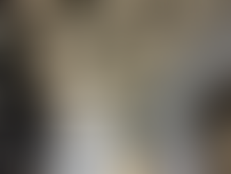 和歌山県庁南別館、立派な建物でした。