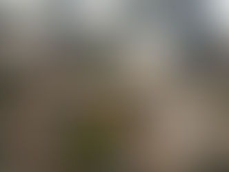 解体前に。新宿駅西口広場・小田急百貨店。