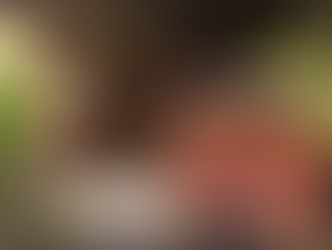 建築士事務所登録~毒ヘビが落ちてきた話。