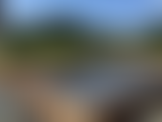 基礎コンクリート一体打ち