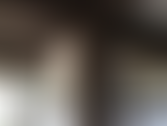 紀美野の家、完成見学会開催のお知らせ