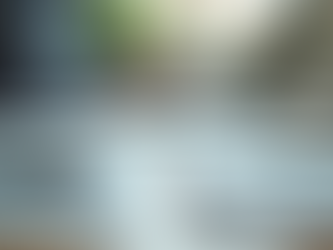 Master the Essentials of Budgeting Basics