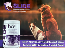 SLIDE Canine ebook.png