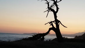 I know where you hide.