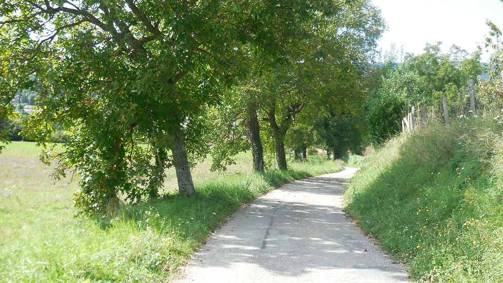 DSCN6017.JPG