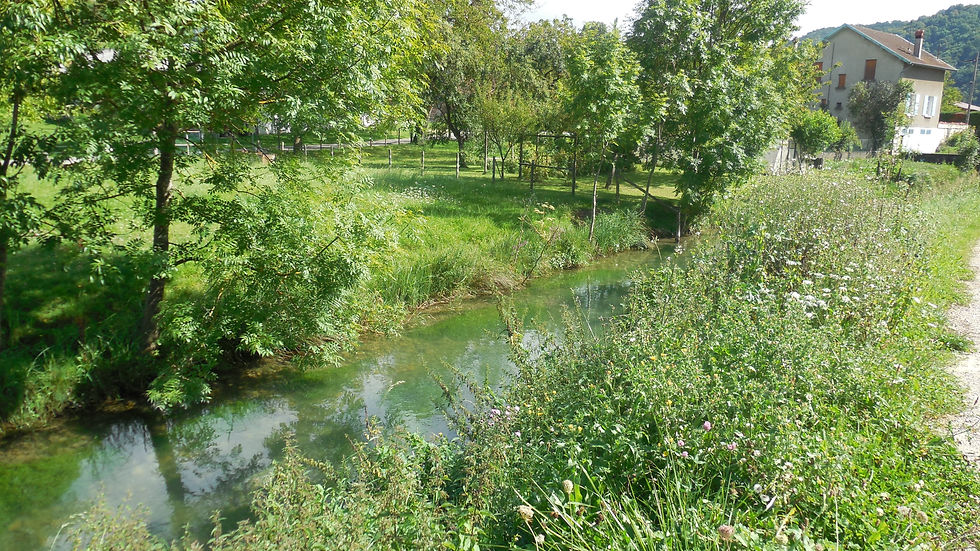 DSCN6020.JPG
