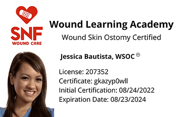 Screen Shot 2022-08-31 at 11.06.09 AM.png