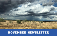 November Newsletter 2024